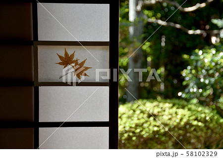 東福寺 芬陀院の障子 東福寺 芬陀院の障子 58102329