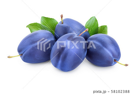 fresh plum with leaves isolated on white background 58102388