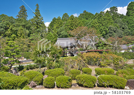 【大池寺】 滋賀県甲賀市水口町名坂 58103769