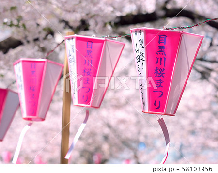 目黒川桜まつり 中目黒付近 目黒川桜まつり 中目黒付近 58103956