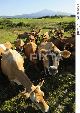 牧場 牧場 58104854