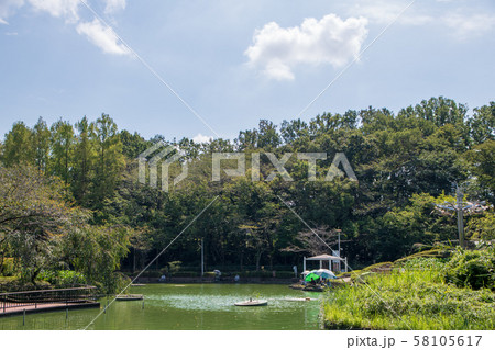 さぎ山記念公園 修景池 さいたま市緑区 さぎ山記念公園 修景池 さいたま市緑区 58105617
