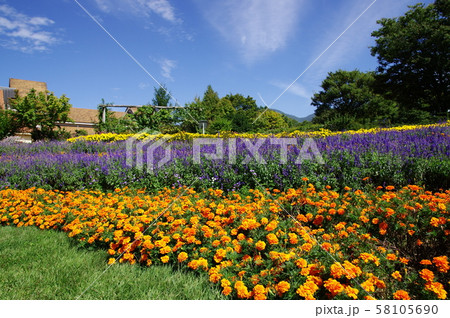 山梨県　北杜市　明野町　ハイジの村 58105690