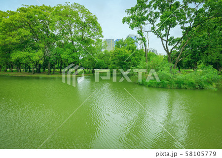Public parks in Bangkok, the resting area of city people Public parks in Bangkok, the resting area of city people 58105779