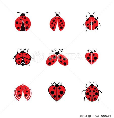 Beauty bug vector illustration icon 58106084