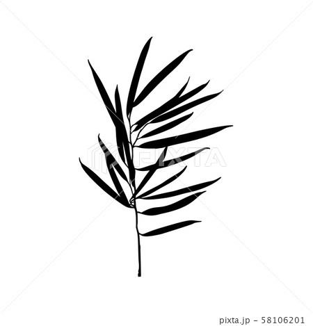 Black Ficus plant Silhouette isolated on white background. Vector Illustration Black Ficus plant Silhouette isolated on white background. Vector Illustration 58106201