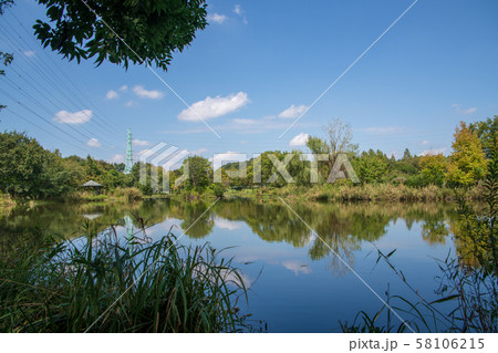 見沼自然公園 さいたま市緑区 見沼自然公園 さいたま市緑区 58106215