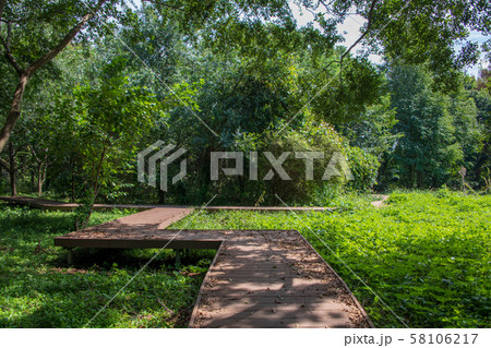 見沼自然公園 さいたま市緑区 見沼自然公園 さいたま市緑区 58106217