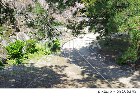 萩城址の指月公園の道 萩城址の指月公園の道 58106245