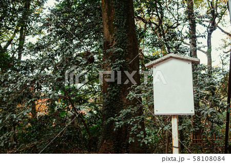 Vintage white Japanese signpost under big tree in forest 58108084
