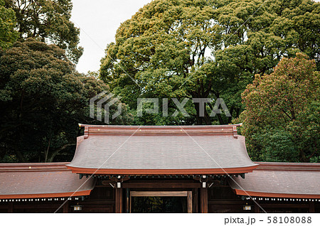 Meiji Jingu Shrine wooden gate and corridor with green tree background Meiji Jingu Shrine wooden gate and corridor with green tree background 58108088