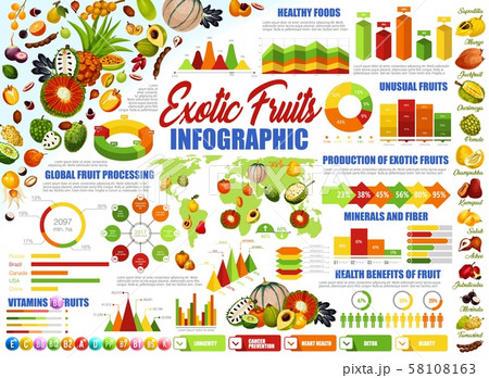 Exotic tropical fruits, healthy food infographic Exotic tropical fruits, healthy food infographic 58108163
