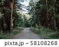 road through dark forest in autumn. Vintage outdoor photo 58108268