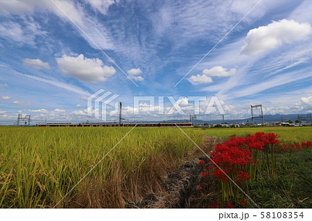 大和路の秋景色 58108354
