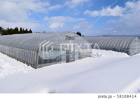 雪の中のビニールハウス 58108414