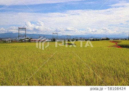 大和路の秋景色 大和路の秋景色 58108424