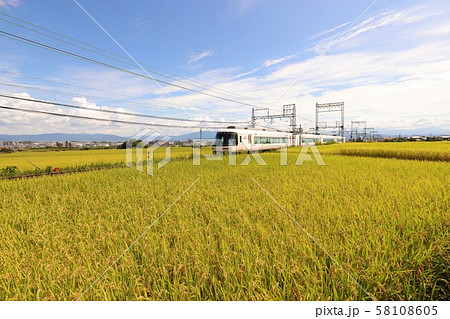 大和路の秋景色 大和路の秋景色 58108605