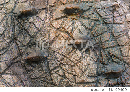 Close up to Colorful and patterns of  dinosaur 58109400
