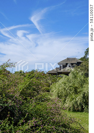 偕楽園の萩と好文亭 58110037