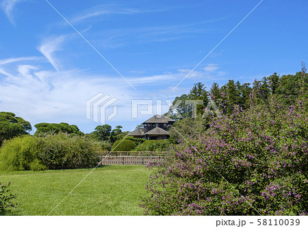 偕楽園の萩と好文亭 58110039