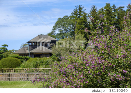 偕楽園の萩と好文亭 58110040