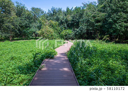 見沼自然公園　さいたま市緑区 58110172