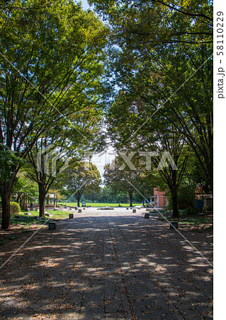 見沼自然公園 さいたま市緑区 見沼自然公園 さいたま市緑区 58110229