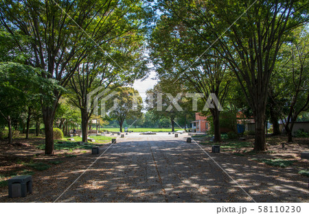 見沼自然公園　さいたま市緑区 58110230
