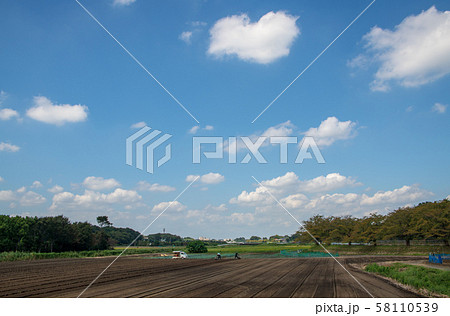 見沼自然公園前の農耕地風景 さいたま市緑区 見沼自然公園前の農耕地風景 さいたま市緑区 58110539
