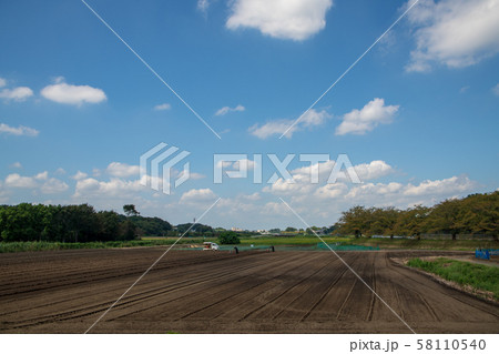 見沼自然公園前の農耕地風景　さいたま市緑区 58110540