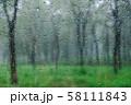 Raindrops on the window glass among the beautiful and refreshing green forest. The pure nature relieves the heart for humans. 58111843