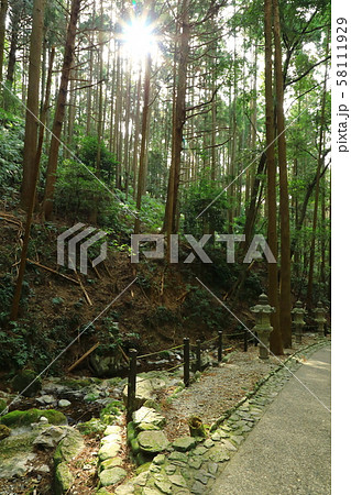 天の岩戸(恵利原の水穴) 木立 天の岩戸(恵利原の水穴) 木立 58111929