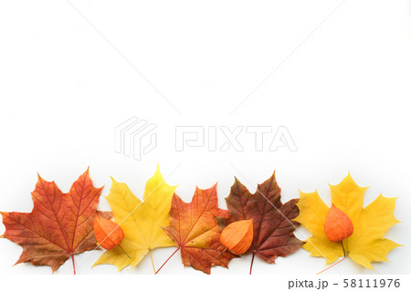 Autumn composition of frame of maple leaves and physalis. Flat lay, top view 58111976