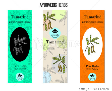 Ayurvedic herbs banners. Tamarind Tamarindus indica 58112620