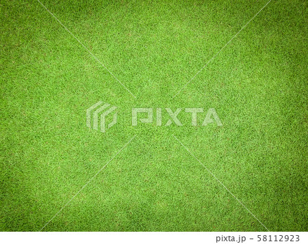 Natural grass texture pattern background golf course turf lawn from top view in bright yellow green color Natural grass texture pattern background golf course turf lawn from top view in bright yellow green color 58112923