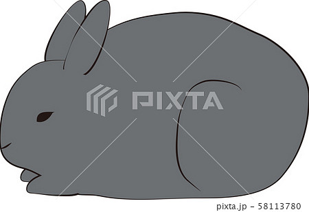 ウサギのイラスト素材