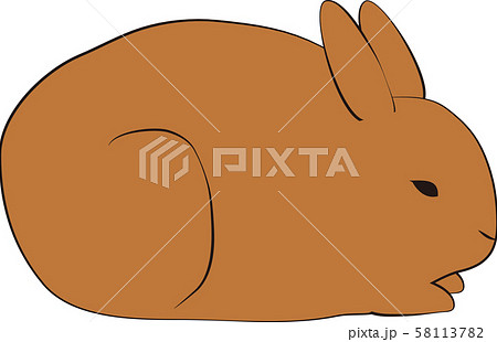 ウサギ ウサギ 58113782