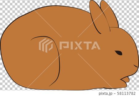 Rabbit Rabbit 58113782