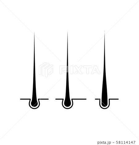 hair icon Vector Illustration design Logo 58114147