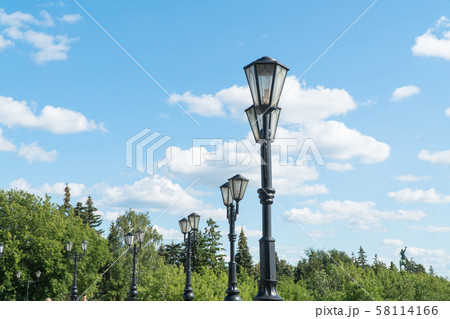 lamppost in the Park 58114166