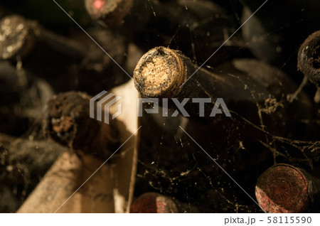 a wine cellar with bottles a wine cellar with bottles 58115590