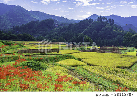 (埼玉県)秩父・寺坂棚田 彼岸花咲く頃 (埼玉県)秩父・寺坂棚田 彼岸花咲く頃 58115787