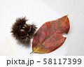 秋栗 秋栗 58117399