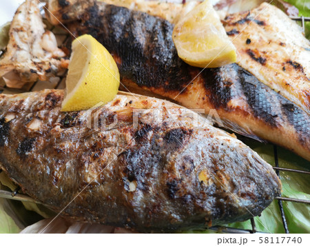 catering fish plate bream and raw fish appetizer 58117740