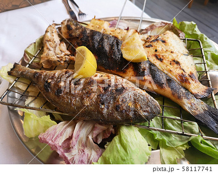 catering fish plate bream and raw fish appetizer 58117741