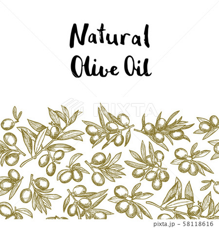 Vector hand drawn olive branches background 58118616