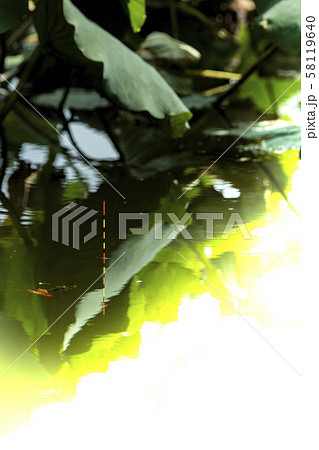 ヘラ浮き ヘラ釣り コピースペース ヘラ浮き ヘラ釣り コピースペース 58119640