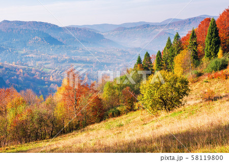 mountainous autumn countryside in the mourning mountainous autumn countryside in the mourning 58119800