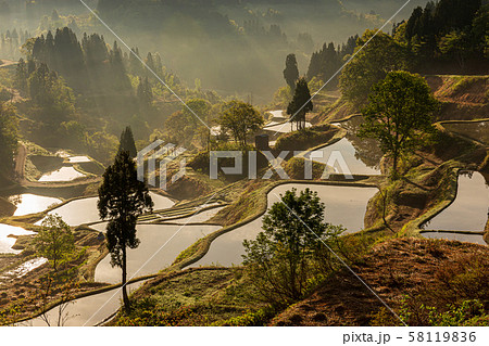 新潟・蒲生の棚田 新潟・蒲生の棚田 58119836