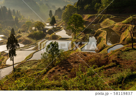 新潟・蒲生の棚田 58119837